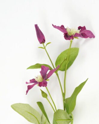 Artificial Flower 15*15*70cm Clematis *2 single stem GS-53623023 Single Flowers YeahFlower is one of Chinese leading OEM manufacturers and exporters , supplying the silk flowers, wholesale artificial trees Artificial Flower 15*15*70cm Clematis *2 single stem GS-53623023 Single Flowers YeahFlower is one of Chinese leading OEM manufacturers and exporters , supplying the silk flowers, wholesale artificial trees