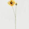 Artificial Flower 18*18*70cm Coquelicot *2 single stem GS-53623051-Y1 Single Flowers YeahFlower is one of Chinese leading OEM manufacturers and exporters , supplying the silk flowers, wholesale artificial trees
