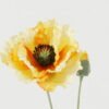Artificial Flower 18*18*70cm Coquelicot *2 single stem GS-53623051-Y1 Single Flowers YeahFlower is one of Chinese leading OEM manufacturers and exporters , supplying the silk flowers, wholesale artificial trees
