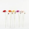 Artificial Flower Coquelicot 2 single stem GS-53623051_1 Artificial Flower 18*18*70cm Coquelicot *2 single stem GS-53623051 Single Flowers YeahFlower is one of Chinese leading OEM manufacturers and exporters , supplying the silk flowers, wholesale artificial trees
