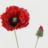 Artificial Flower Coquelicot 2 single stem GS-53623051_2 Artificial Flower 18*18*70cm Coquelicot *2 single stem GS-53623051 Single Flowers YeahFlower is one of Chinese leading OEM manufacturers and exporters , supplying the silk flowers, wholesale artificial trees