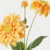 Artificial Flower Dahlia 3 single stem GS-53623013-Y1_7 Artificial Flower 20*20*63cm Dahlia *3 single stem GS-53623013-Y1 Single Flowers YeahFlower is one of Chinese leading OEM manufacturers and exporters , supplying the silk flowers, wholesale artificial trees