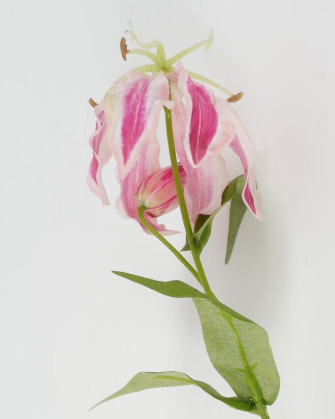 Artificial Flower Flame lily 2 single stem GS-53623019-P1_3 Artificial Flower 15*15*69cm Flame lily *2 single stem GS-53623019-P1 Single Flowers YeahFlower is one of Chinese leading OEM manufacturers and exporters , supplying the silk flowers, wholesale artificial trees