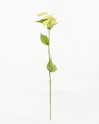 Artificial Flower 15*15*69cm Flame lily *2 single stem GS-53623019 Single Flowers YeahFlower is one of Chinese leading OEM manufacturers and exporters , supplying the silk flowers, wholesale artificial trees Artificial Flower 15*15*69cm Flame lily *2 single stem GS-53623019 Single Flowers YeahFlower is one of Chinese leading OEM manufacturers and exporters , supplying the silk flowers, wholesale artificial trees