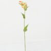 Artificial Flower 15*15*69cm Flame lily *2 single stem GS-53623019 Single Flowers YeahFlower is one of Chinese leading OEM manufacturers and exporters , supplying the silk flowers, wholesale artificial trees