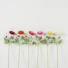 Artificial Flower 18*18*49cm Flower *2 single stem GS-64723003 Single Flowers YeahFlower is one of Chinese leading OEM manufacturers and exporters , supplying the silk flowers, wholesale artificial trees