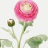Artificial Flower 18*18*49cm Flower *2 single stem GS-64723003 Single Flowers YeahFlower is one of Chinese leading OEM manufacturers and exporters , supplying the silk flowers, wholesale artificial trees
