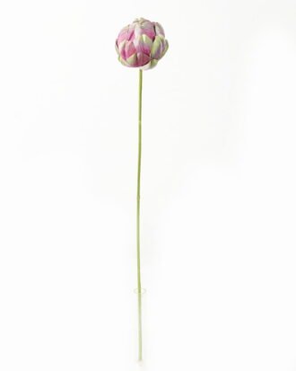 Artificial Flower 7*7*57cm Flower single stem GS-53623005-P1 Single Flowers YeahFlower is one of Chinese leading OEM manufacturers and exporters , supplying the silk flowers, wholesale artificial trees Artificial Flower 7*7*57cm Flower single stem GS-53623005-P1 Single Flowers YeahFlower is one of Chinese leading OEM manufacturers and exporters , supplying the silk flowers, wholesale artificial trees