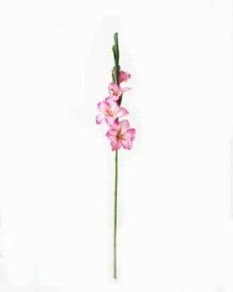 Artificial Flower 10*10*87cm Gladiolus single stem GS-53623004-P2 Single Flowers YeahFlower is one of Chinese leading OEM manufacturers and exporters , supplying the silk flowers, wholesale artificial trees Artificial Flower 10*10*87cm Gladiolus single stem GS-53623004-P2 Single Flowers YeahFlower is one of Chinese leading OEM manufacturers and exporters , supplying the silk flowers, wholesale artificial trees