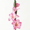 Artificial Flower Gladiolus single stem GS-53623004-P2_3 Artificial Flower 10*10*87cm Gladiolus single stem GS-53623004-P2 Single Flowers YeahFlower is one of Chinese leading OEM manufacturers and exporters , supplying the silk flowers, wholesale artificial trees