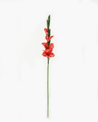 Artificial Flower 10*10*87cm Gladiolus single stem GS-53623004-R1 Single Flowers YeahFlower is one of Chinese leading OEM manufacturers and exporters , supplying the silk flowers, wholesale artificial trees Artificial Flower 10*10*87cm Gladiolus single stem GS-53623004-R1 Single Flowers YeahFlower is one of Chinese leading OEM manufacturers and exporters , supplying the silk flowers, wholesale artificial trees