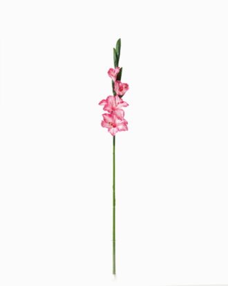 Artificial Flower 10*10*87cm Gladiolus single stem GS-53623004-R3 Single Flowers YeahFlower is one of Chinese leading OEM manufacturers and exporters , supplying the silk flowers, wholesale artificial trees Artificial Flower 10*10*87cm Gladiolus single stem GS-53623004-R3 Single Flowers YeahFlower is one of Chinese leading OEM manufacturers and exporters , supplying the silk flowers, wholesale artificial trees