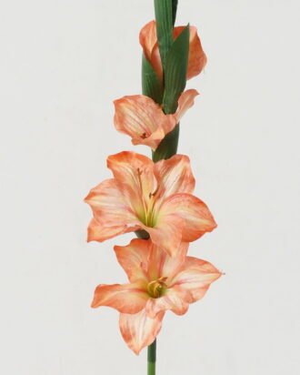 Artificial Flower 10*10*87cm Gladiolus single stem GS-53623004 Single Flowers YeahFlower is one of Chinese leading OEM manufacturers and exporters , supplying the silk flowers, wholesale artificial trees Artificial Flower 10*10*87cm Gladiolus single stem GS-53623004 Single Flowers YeahFlower is one of Chinese leading OEM manufacturers and exporters , supplying the silk flowers, wholesale artificial trees