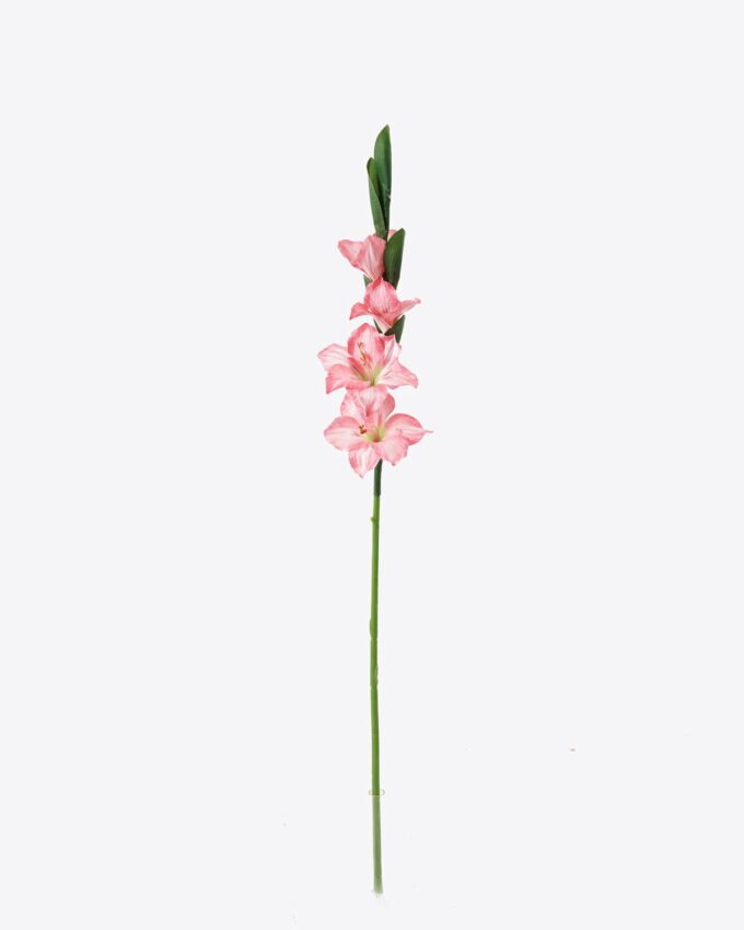 Artificial Flower Gladiolus single stem GS-53623004_4 Artificial Flower 10*10*87cm Gladiolus single stem GS-53623004 Single Flowers YeahFlower is one of Chinese leading OEM manufacturers and exporters , supplying the silk flowers, wholesale artificial trees
