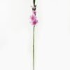 Artificial Flower Gladiolus single stem GS-53623004_6 Artificial Flower 10*10*87cm Gladiolus single stem GS-53623004 Single Flowers YeahFlower is one of Chinese leading OEM manufacturers and exporters , supplying the silk flowers, wholesale artificial trees