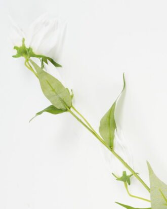 Artificial Flower 12*12*74cm Gloriosa *4 single stem GS-53623022-W1 Single Flowers YeahFlower is one of Chinese leading OEM manufacturers and exporters , supplying the silk flowers, wholesale artificial trees Artificial Flower 12*12*74cm Gloriosa *4 single stem GS-53623022-W1 Single Flowers YeahFlower is one of Chinese leading OEM manufacturers and exporters , supplying the silk flowers, wholesale artificial trees