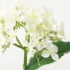 Artificial Flower Hydrangea 5 single stem GS-53623006-W1_2 Artificial Flower 15*15*32cm Hydrangea *5 single stem GS-53623006-W1 Single Flowers YeahFlower is one of Chinese leading OEM manufacturers and exporters , supplying the silk flowers, wholesale artificial trees