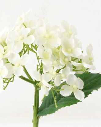 Artificial Flower 15*15*32cm Hydrangea *5 single stem GS-53623006-W1 Single Flowers YeahFlower is one of Chinese leading OEM manufacturers and exporters , supplying the silk flowers, wholesale artificial trees Artificial Flower 15*15*32cm Hydrangea *5 single stem GS-53623006-W1 Single Flowers YeahFlower is one of Chinese leading OEM manufacturers and exporters , supplying the silk flowers, wholesale artificial trees
