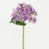 Artificial Flower Hydrangea 5 single stem GS-53623006-Z3_5 Artificial Flower 15*15*32cm Hydrangea *5 single stem GS-53623006-Z3 Single Flowers YeahFlower is one of Chinese leading OEM manufacturers and exporters , supplying the silk flowers, wholesale artificial trees