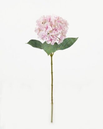 Artificial Flower 21*21*64cm Hydrangea single stem /4 lvs GS-15423018-UV-P3 Single Flowers YeahFlower is one of Chinese leading OEM manufacturers and exporters , supplying the silk flowers, wholesale artificial trees Artificial Flower 21*21*64cm Hydrangea single stem /4 lvs GS-15423018-UV-P3 Single Flowers YeahFlower is one of Chinese leading OEM manufacturers and exporters , supplying the silk flowers, wholesale artificial trees