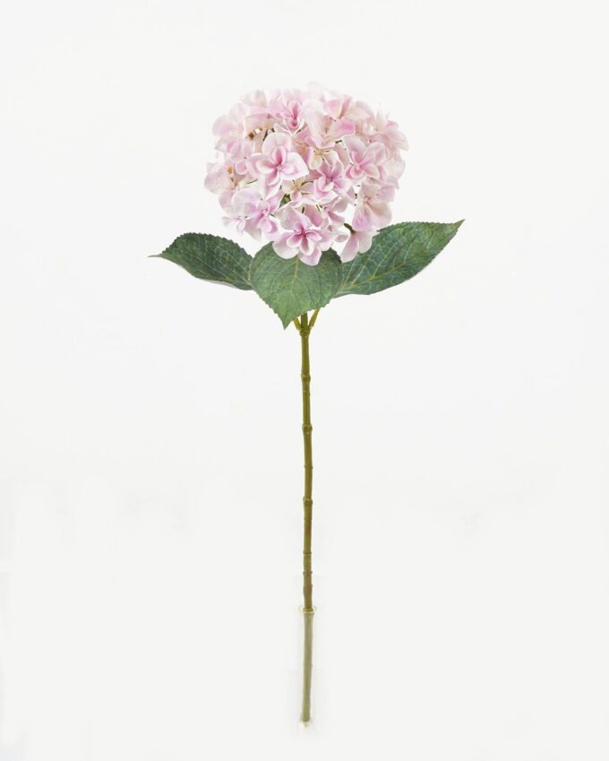 Artificial Flower Hydrangea single stem 4 lvs GS-15423018-UV-P3_3 Artificial Flower 21*21*64cm Hydrangea single stem /4 lvs GS-15423018-UV-P3 Single Flowers YeahFlower is one of Chinese leading OEM manufacturers and exporters , supplying the silk flowers, wholesale artificial trees