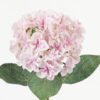 Artificial Flower Hydrangea single stem 4 lvs GS-15423018-UV-P3_5 Artificial Flower 21*21*64cm Hydrangea single stem /4 lvs GS-15423018-UV-P3 Single Flowers YeahFlower is one of Chinese leading OEM manufacturers and exporters , supplying the silk flowers, wholesale artificial trees