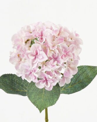 Artificial Flower 21*21*64cm Hydrangea single stem /4 lvs GS-15423018-UV-P3 Single Flowers YeahFlower is one of Chinese leading OEM manufacturers and exporters , supplying the silk flowers, wholesale artificial trees Artificial Flower 21*21*64cm Hydrangea single stem /4 lvs GS-15423018-UV-P3 Single Flowers YeahFlower is one of Chinese leading OEM manufacturers and exporters , supplying the silk flowers, wholesale artificial trees