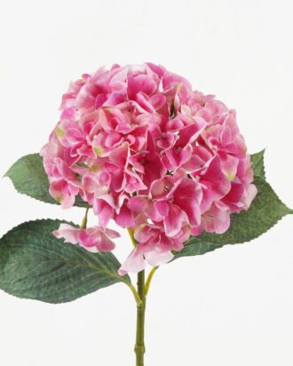 Artificial Flower 21*21*64cm Hydrangea single stem /4 lvs GS-15423018-UV-P4 Single Flowers YeahFlower is one of Chinese leading OEM manufacturers and exporters , supplying the silk flowers, wholesale artificial trees Artificial Flower 21*21*64cm Hydrangea single stem /4 lvs GS-15423018-UV-P4 Single Flowers YeahFlower is one of Chinese leading OEM manufacturers and exporters , supplying the silk flowers, wholesale artificial trees