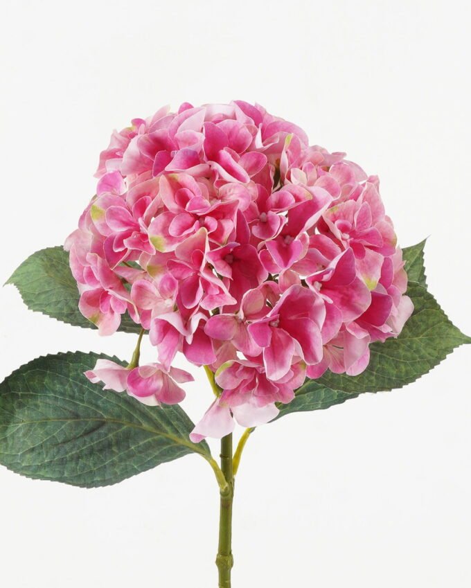 Artificial Flower Hydrangea single stem 4 lvs GS-15423018-UV-P4_2 Artificial Flower 21*21*64cm Hydrangea single stem /4 lvs GS-15423018-UV-P4 Single Flowers YeahFlower is one of Chinese leading OEM manufacturers and exporters , supplying the silk flowers, wholesale artificial trees