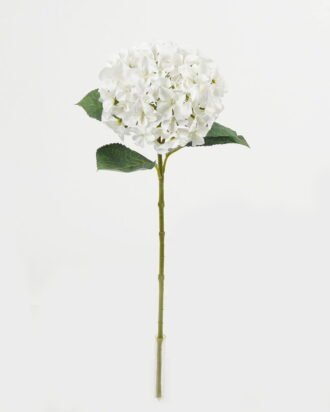 Artificial Flower 21*21*64cm Hydrangea single stem /4 lvs GS-15423018-UV-W1 Single Flowers YeahFlower is one of Chinese leading OEM manufacturers and exporters , supplying the silk flowers, wholesale artificial trees Artificial Flower 21*21*64cm Hydrangea single stem /4 lvs GS-15423018-UV-W1 Single Flowers YeahFlower is one of Chinese leading OEM manufacturers and exporters , supplying the silk flowers, wholesale artificial trees