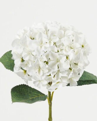 Artificial Flower 21*21*64cm Hydrangea single stem /4 lvs GS-15423018-UV-W1 Single Flowers YeahFlower is one of Chinese leading OEM manufacturers and exporters , supplying the silk flowers, wholesale artificial trees Artificial Flower 21*21*64cm Hydrangea single stem /4 lvs GS-15423018-UV-W1 Single Flowers YeahFlower is one of Chinese leading OEM manufacturers and exporters , supplying the silk flowers, wholesale artificial trees