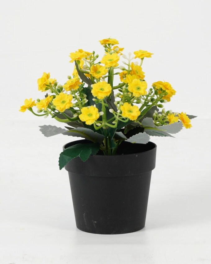 Artificial Flower 15*15*19cm Jasmine in PP pot GS-03323038-Z1 Potted Flowers&Plants YeahFlower is one of Chinese leading OEM manufacturers and exporters , supplying the silk flowers, wholesale artificial trees