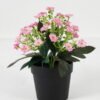 Artificial Flower 15*15*19cm Jasmine in PP pot GS-03323038 Potted Flowers&Plants YeahFlower is one of Chinese leading OEM manufacturers and exporters , supplying the silk flowers, wholesale artificial trees