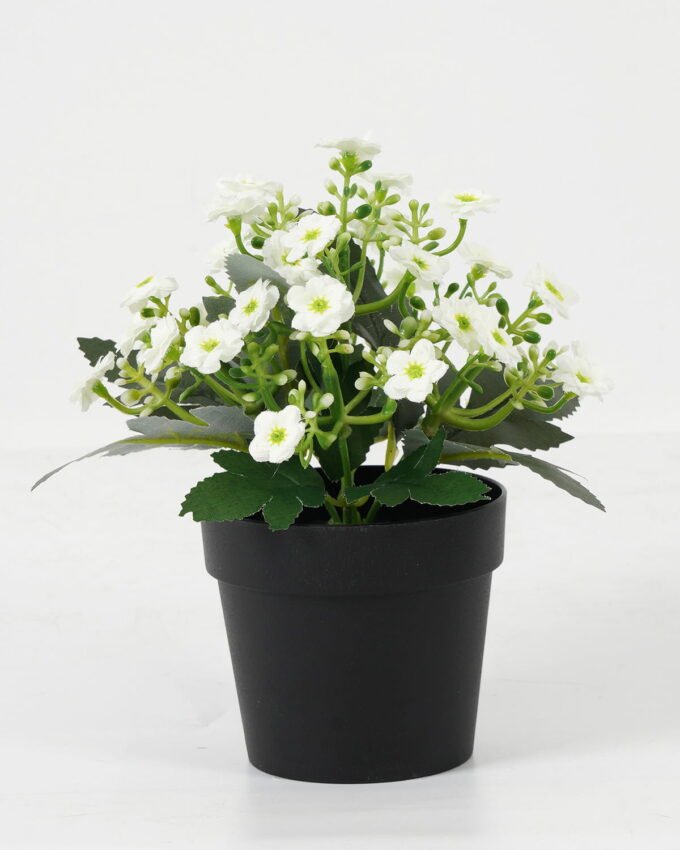 Artificial Flower 15*15*19cm Jasmine in PP pot GS-03323038 Potted Flowers&Plants YeahFlower is one of Chinese leading OEM manufacturers and exporters , supplying the silk flowers, wholesale artificial trees