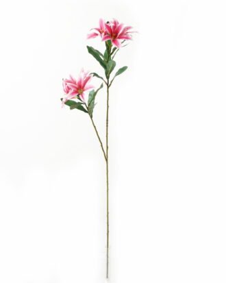 Artificial Flower 17*17*93cm Lily *2 single stem GS-53623003-P1 Single Flowers YeahFlower is one of Chinese leading OEM manufacturers and exporters , supplying the silk flowers, wholesale artificial trees Artificial Flower 17*17*93cm Lily *2 single stem GS-53623003-P1 Single Flowers YeahFlower is one of Chinese leading OEM manufacturers and exporters , supplying the silk flowers, wholesale artificial trees