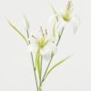 Artificial Flower Lily 3 single stem GS-53623015-W1_5 Artificial Flower 22*22*60cm Lily *3 single stem GS-53623015-W1 Single Flowers YeahFlower is one of Chinese leading OEM manufacturers and exporters , supplying the silk flowers, wholesale artificial trees