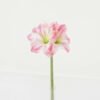 Artificial-Flower-Lily-3-single-stem-GS-53623033-P1-1.jpg Artificial Flower 13*13*48cm Lily *3 single stem GS-53623033-P1 Single Flowers YeahFlower is one of Chinese leading OEM manufacturers and exporters , supplying the silk flowers, wholesale artificial trees
