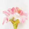 Artificial Flower Lily 3 single stem GS-53623033-P1_3 Artificial Flower 13*13*48cm Lily *3 single stem GS-53623033-P1 Single Flowers YeahFlower is one of Chinese leading OEM manufacturers and exporters , supplying the silk flowers, wholesale artificial trees