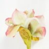 Artificial Flower Lily 3 single stem GS-53623033_2 Artificial Flower 13*13*48cm Lily *3 single stem GS-53623033 Single Flowers YeahFlower is one of Chinese leading OEM manufacturers and exporters , supplying the silk flowers, wholesale artificial trees