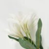 Artificial Flower Lily 3 single stem GS-53623034-W2_3 Artificial Flower 13*13*45cm Lily *3 single stem GS-53623034-W2 Single Flowers YeahFlower is one of Chinese leading OEM manufacturers and exporters , supplying the silk flowers, wholesale artificial trees