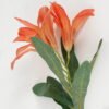 Artificial Flower Lily 3 single stem GS-53623034_2 Artificial Flower 13*13*45cm Lily *3 single stem GS-53623034 Single Flowers YeahFlower is one of Chinese leading OEM manufacturers and exporters , supplying the silk flowers, wholesale artificial trees