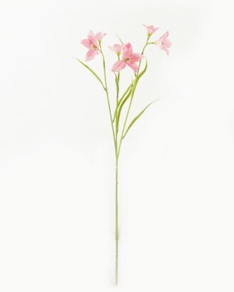 Artificial Flower 15*15*62cm Lucky clover *3 single stem GS-53623008-R1 Single Flowers YeahFlower is one of Chinese leading OEM manufacturers and exporters , supplying the silk flowers, wholesale artificial trees Artificial Flower 15*15*62cm Lucky clover *3 single stem GS-53623008-R1 Single Flowers YeahFlower is one of Chinese leading OEM manufacturers and exporters , supplying the silk flowers, wholesale artificial trees