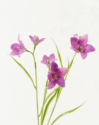 Artificial Flower 15*15*62cm Lucky clover *3 single stem GS-53623008 Single Flowers YeahFlower is one of Chinese leading OEM manufacturers and exporters , supplying the silk flowers, wholesale artificial trees Artificial Flower 15*15*62cm Lucky clover *3 single stem GS-53623008 Single Flowers YeahFlower is one of Chinese leading OEM manufacturers and exporters , supplying the silk flowers, wholesale artificial trees