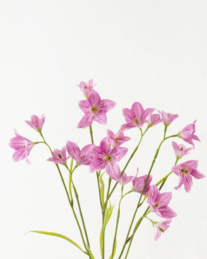 Artificial Flower Lucky clover 6 single stem GS-53623007-P2_4 Artificial Flower 25*25*99cm Lucky clover *6 single stem GS-53623007-P2 Single Flowers YeahFlower is one of Chinese leading OEM manufacturers and exporters , supplying the silk flowers, wholesale artificial trees