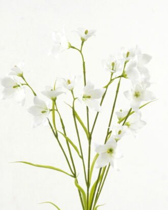 Artificial Flower 25*25*99cm Lucky clover *6 single stem GS-53623007-W1 Single Flowers YeahFlower is one of Chinese leading OEM manufacturers and exporters , supplying the silk flowers, wholesale artificial trees Artificial Flower 25*25*99cm Lucky clover *6 single stem GS-53623007-W1 Single Flowers YeahFlower is one of Chinese leading OEM manufacturers and exporters , supplying the silk flowers, wholesale artificial trees