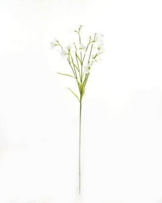 Artificial Flower 25*25*99cm Lucky clover *6 single stem GS-53623007-W1 Single Flowers YeahFlower is one of Chinese leading OEM manufacturers and exporters , supplying the silk flowers, wholesale artificial trees Artificial Flower 25*25*99cm Lucky clover *6 single stem GS-53623007-W1 Single Flowers YeahFlower is one of Chinese leading OEM manufacturers and exporters , supplying the silk flowers, wholesale artificial trees