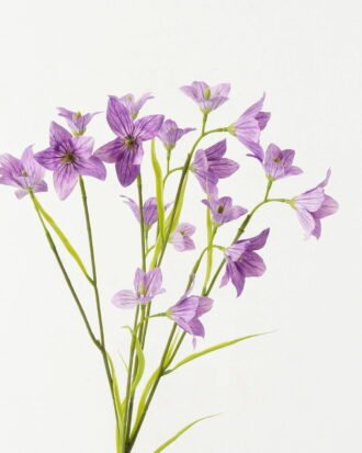 Artificial Flower 25*25*99cm Lucky clover *6 single stem GS-53623007-Z1 Single Flowers YeahFlower is one of Chinese leading OEM manufacturers and exporters , supplying the silk flowers, wholesale artificial trees Artificial Flower 25*25*99cm Lucky clover *6 single stem GS-53623007-Z1 Single Flowers YeahFlower is one of Chinese leading OEM manufacturers and exporters , supplying the silk flowers, wholesale artificial trees