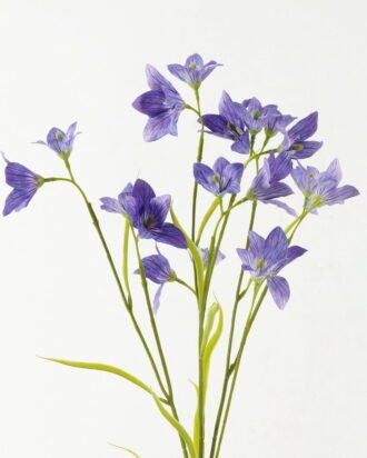 Artificial Flower 25*25*99cm Lucky clover *6 single stem GS-53623007 Single Flowers YeahFlower is one of Chinese leading OEM manufacturers and exporters , supplying the silk flowers, wholesale artificial trees Artificial Flower 25*25*99cm Lucky clover *6 single stem GS-53623007 Single Flowers YeahFlower is one of Chinese leading OEM manufacturers and exporters , supplying the silk flowers, wholesale artificial trees