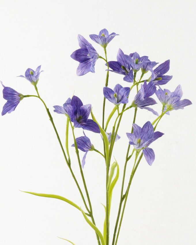 Artificial Flower Lucky clover 6 single stem GS-53623007_2 Artificial Flower 25*25*99cm Lucky clover *6 single stem GS-53623007 Single Flowers YeahFlower is one of Chinese leading OEM manufacturers and exporters , supplying the silk flowers, wholesale artificial trees