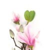 Artificial Flower Melatti 3 single stem GS-53623030-P3_2 Artificial Flower 13*13*49cm Melatti *3 single stem GS-53623030-P3 Single Flowers YeahFlower is one of Chinese leading OEM manufacturers and exporters , supplying the silk flowers, wholesale artificial trees
